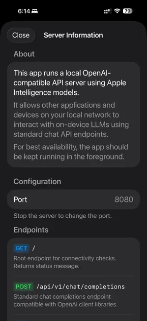 Local LLM Server iPhone screenshot 4