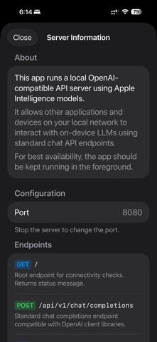 Local LLM Server Screenshot 4 of 4