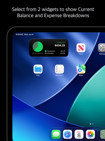 Bank Account iPad screenshot