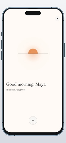 Wyatt AI iPhone screenshot