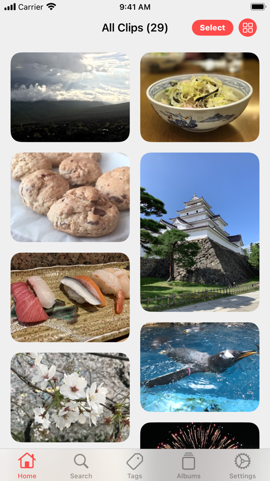 #1. Tag & Album Photos - LikePics (iOS) Podle: Tasuku Tozawa
