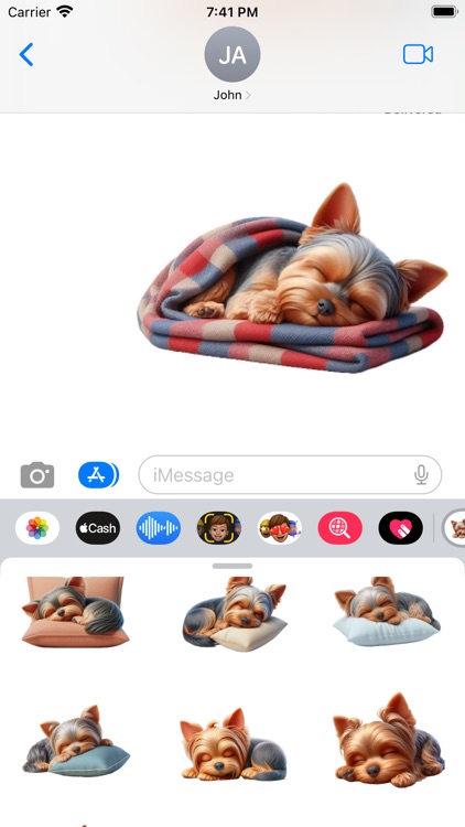 Sleeping Yorkshire Terrier screenshot-4