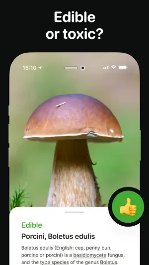 Mushroom Identifier: Foraging screenshot 1