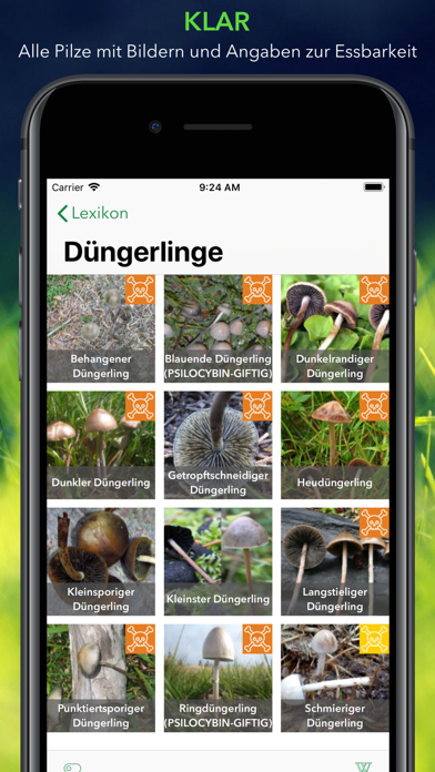 Pilze 123 Screenshot