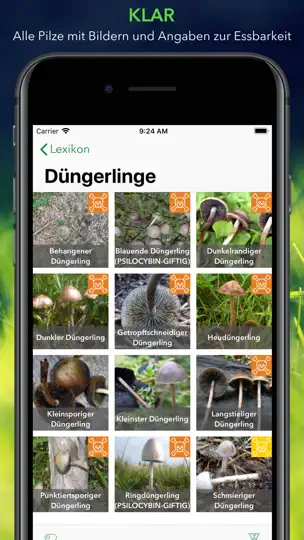 Screenshot von Pilze 123 auf dem iPhone 5