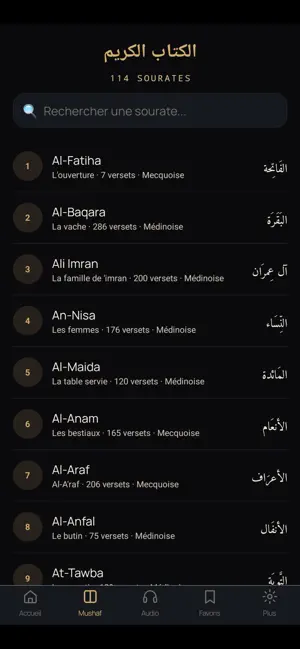 QuranFlow : Mémoriser Coran screenshot 3