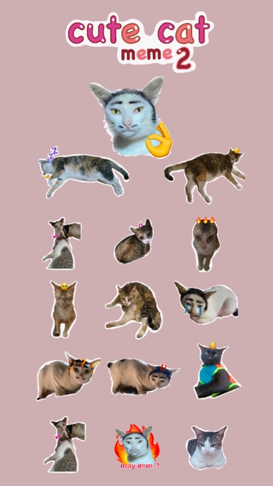 Cute Cate Meme 2 screenshot