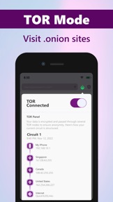TOR Browser, Prosec Onion VPN screenshot