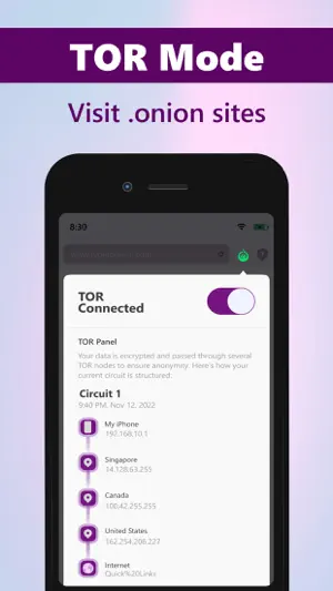 TOR Browser, Prosec Onion VPN screenshot 2
