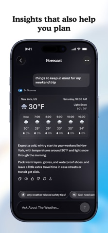 Skyla.ai Screenshot 2 of 4