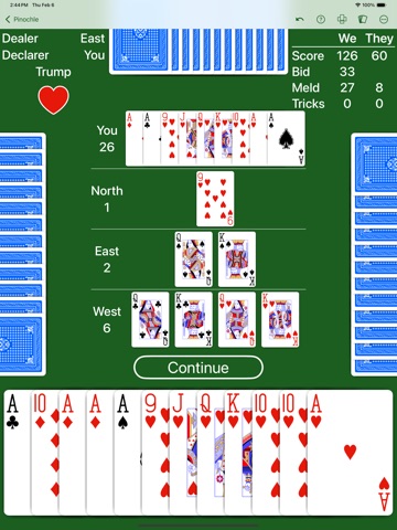 Pinochle - Expert AI iPad screenshot