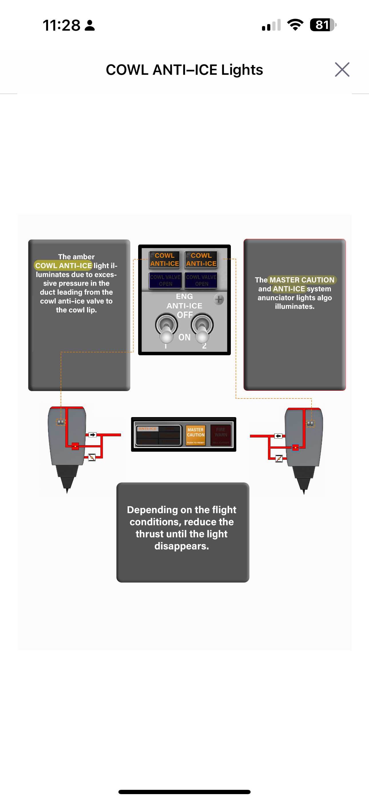 737 Virtual Panel LITE