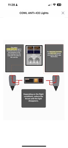 737 Virtual Panel LITE screenshot