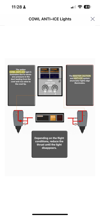 737 Virtual Panel LITE Screenshot 8 of 10
