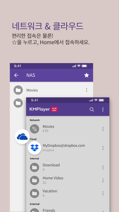 KMPlayer Plus (Divx Codec)