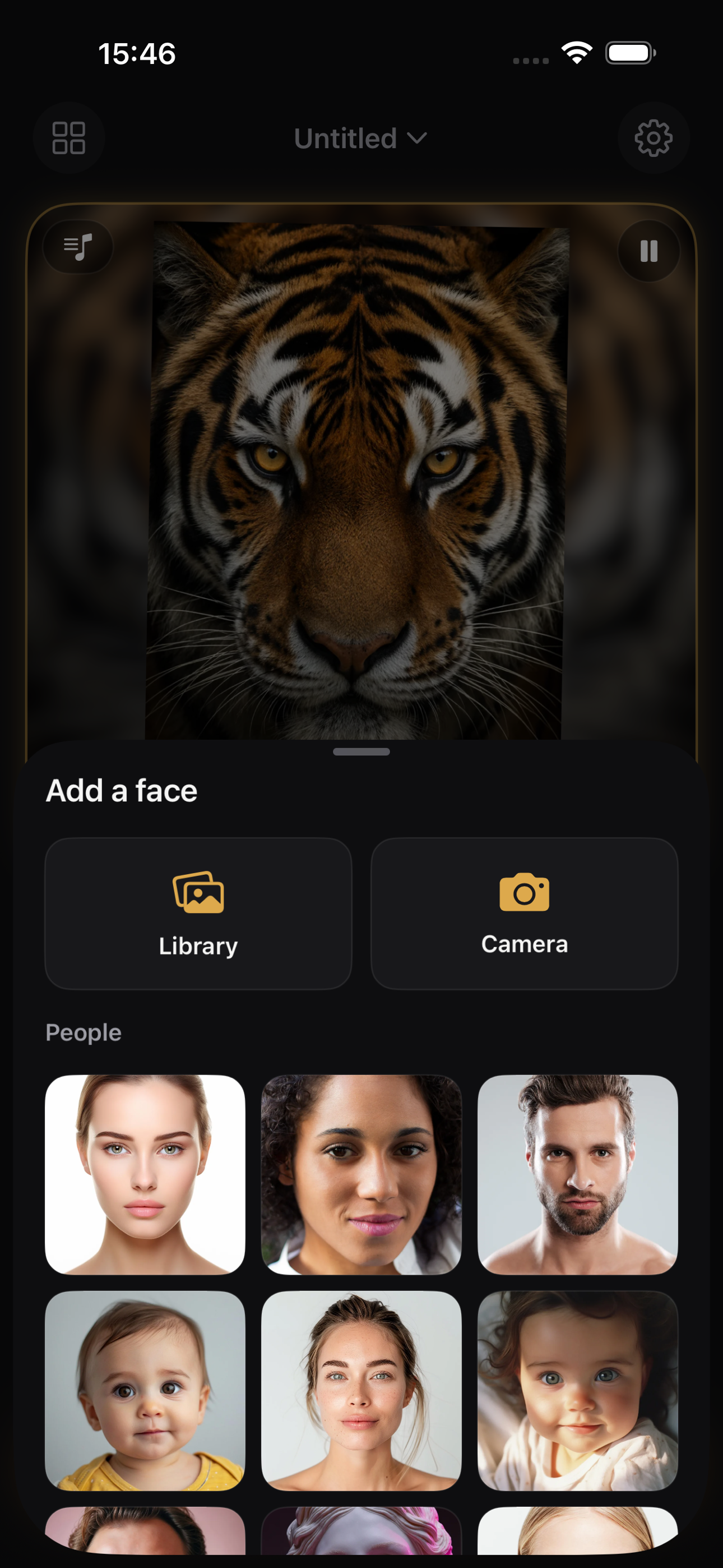 Face Morph: Animal & Video