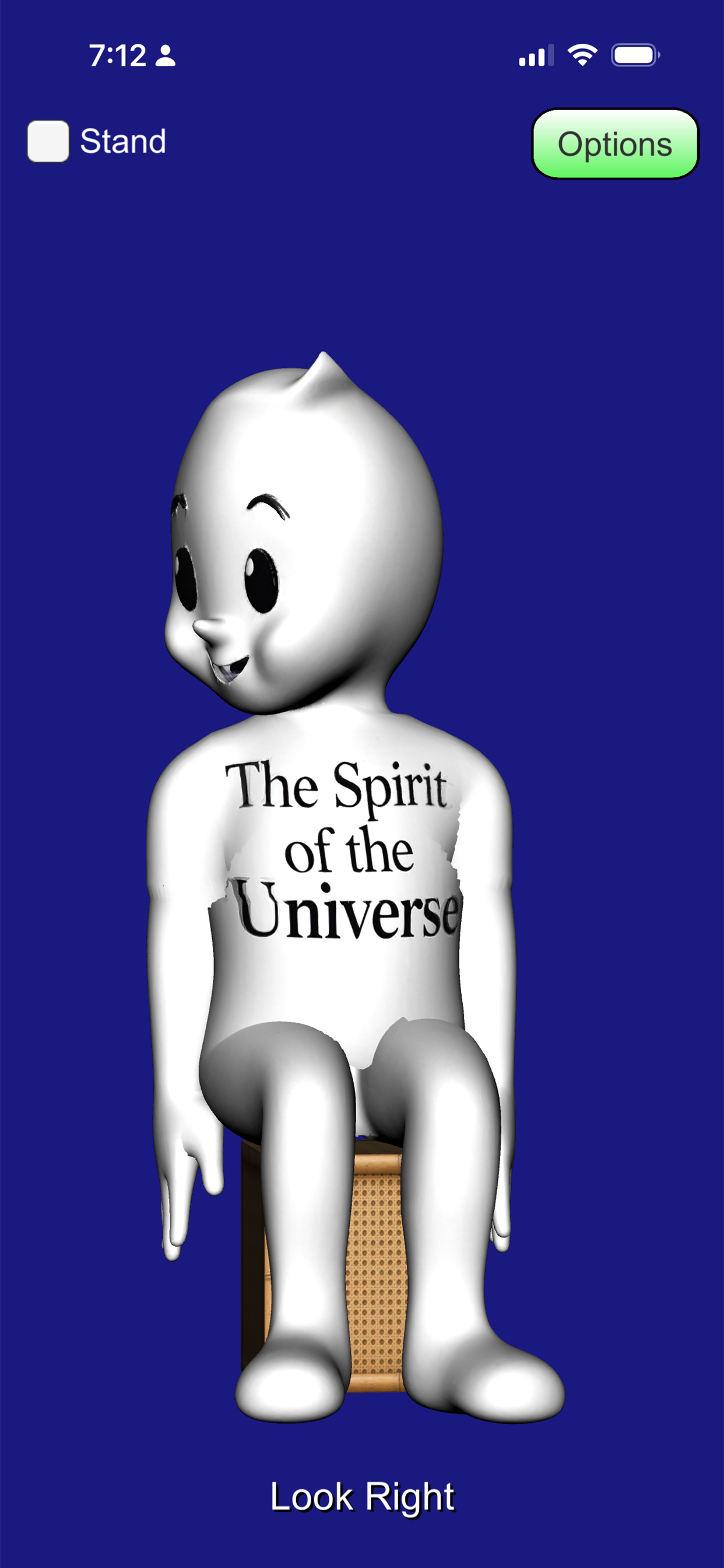 Tai Chi Spirit screenshot 2