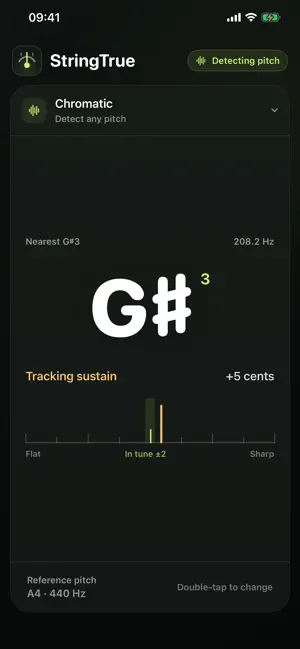 StringTrue: Guitar Tuner screenshot 3