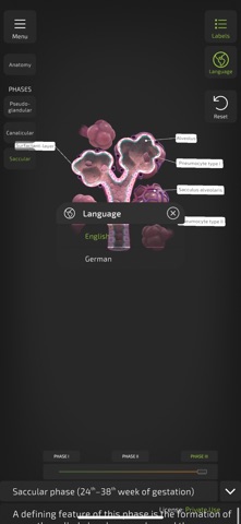 Insight NeoLung screenshot