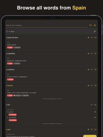Olé: Spanish Dictionary iPad screenshot