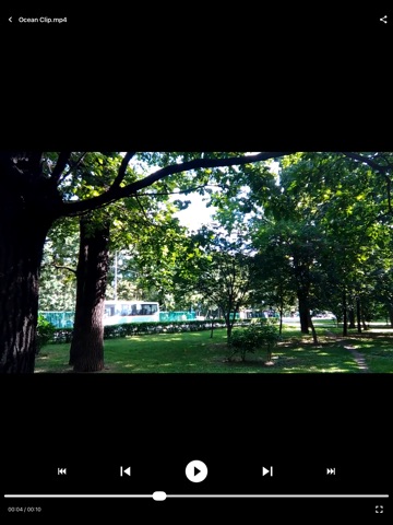 Loader (Media Player) iPad screenshot