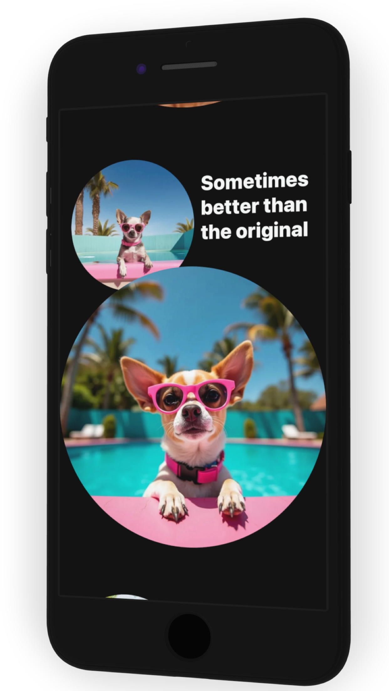 Legal Pirate Photo Clone