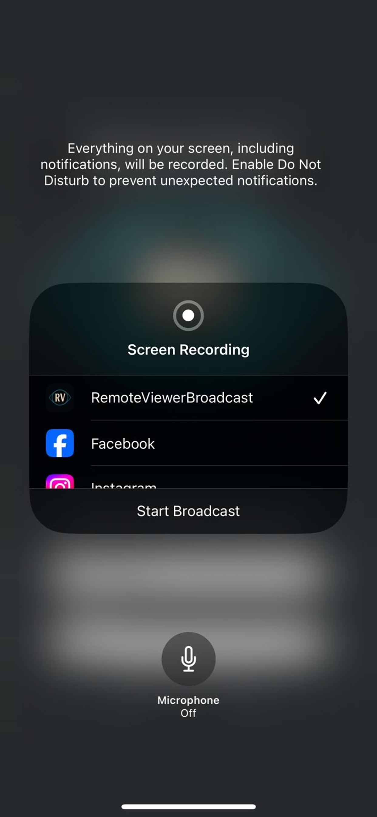Remote Viewer Client screenshot 2