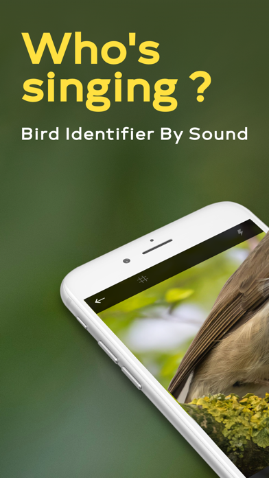 Bird Identifier 鳥の名前 野鳥の鳴き声図鑑のおすすめ画像1