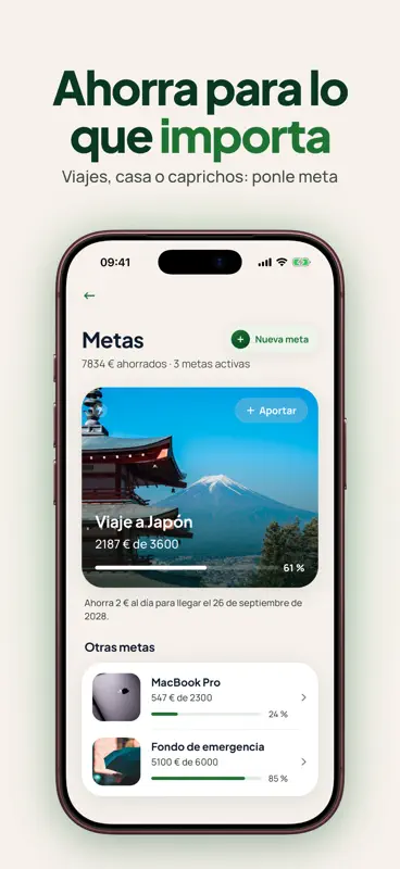 Control de Gastos: Boti screenshot 4 of 7