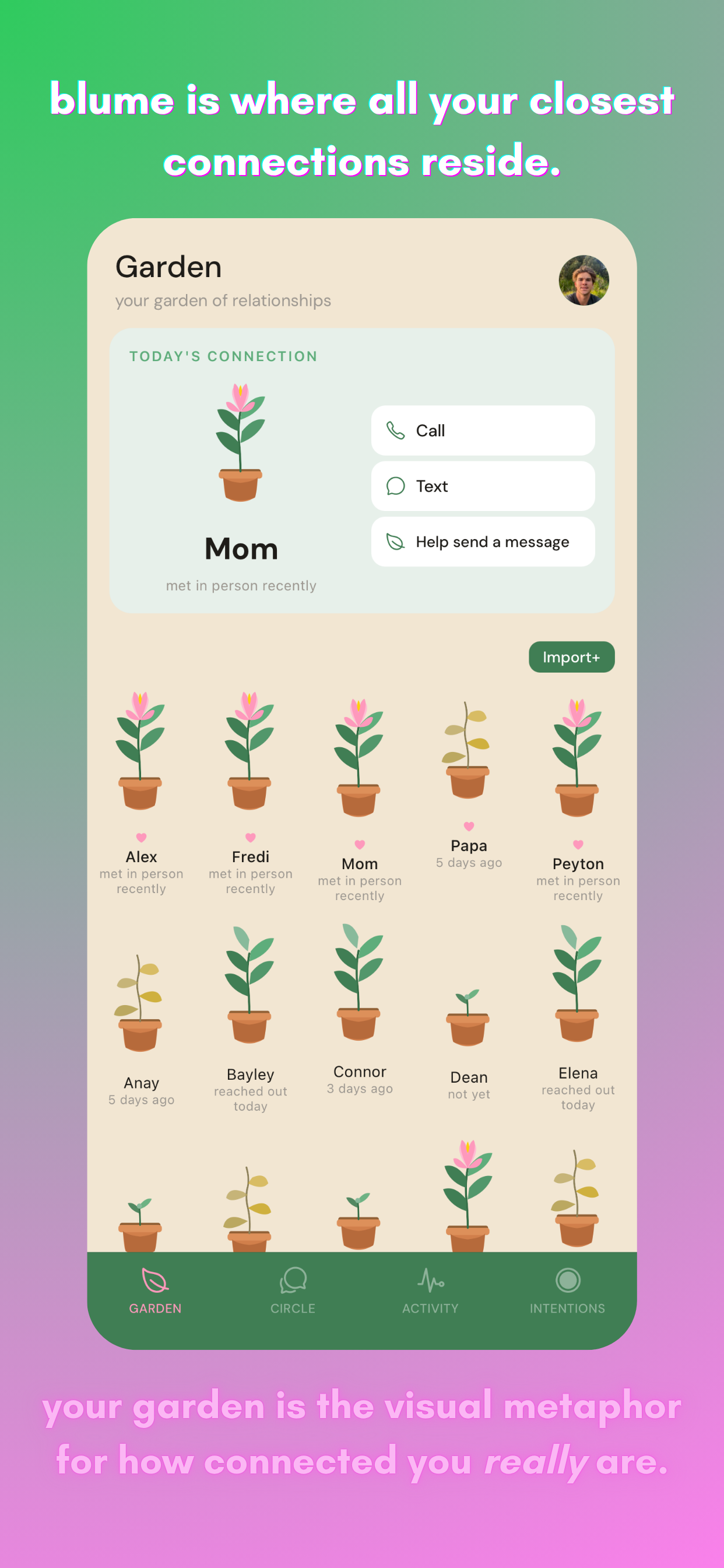 blume. screenshot 2