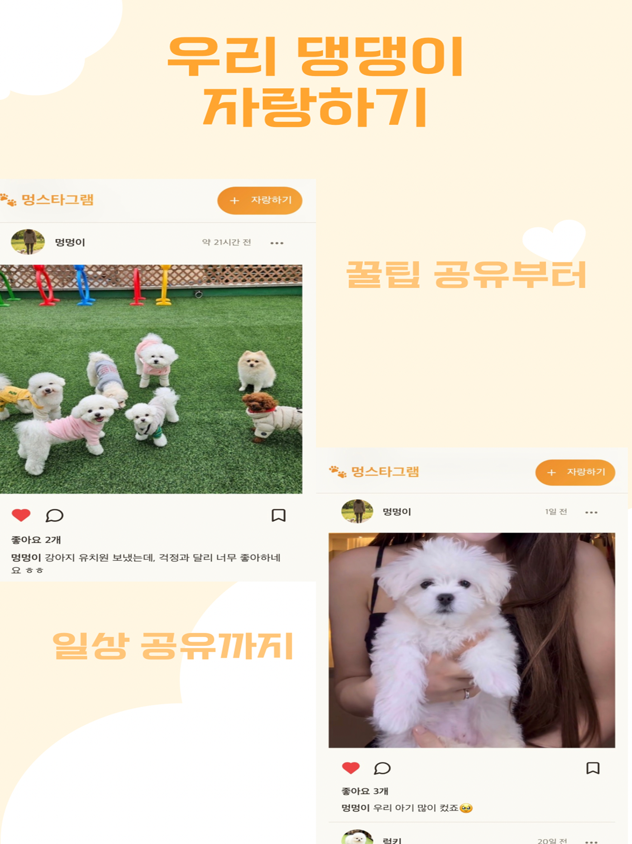댕댕워크