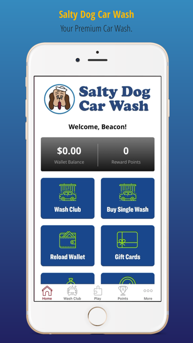 Salty Dog Car Wash Screenshot
