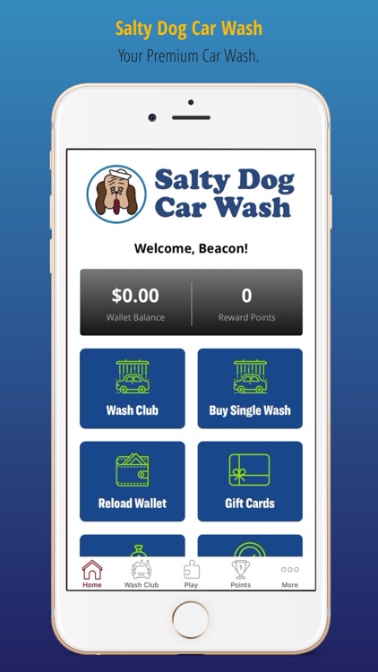 Salty Dog Car Wash