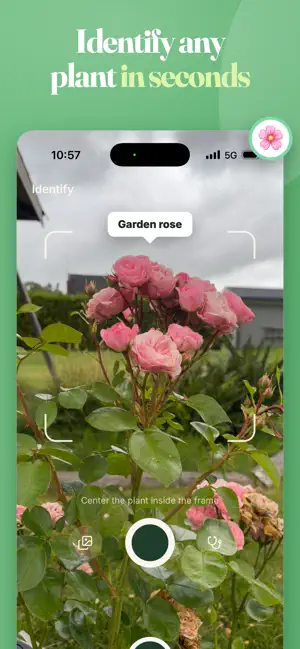 Plant Identifier: Sprigly screenshot 2