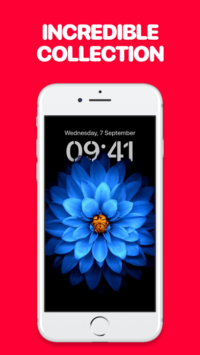Screenshot #2 pour Wallpy - Grands Fonds D'écran