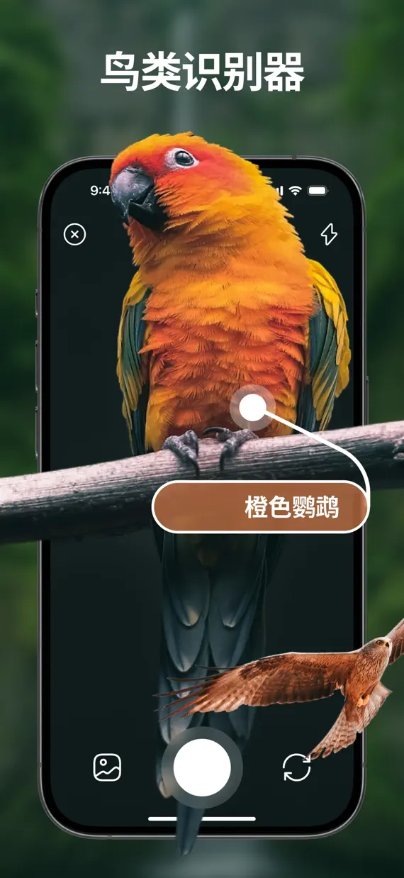Bird Identifier & Guide screenshot 1