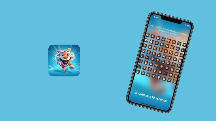 SwapTigerRecognition