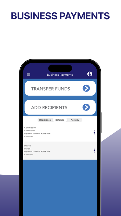 Blue Sky Bank Business Screenshot