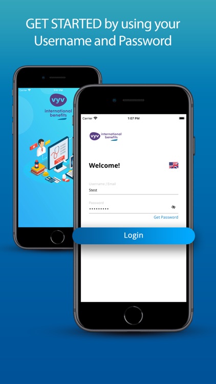 VYV International Benefits