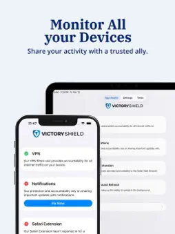 Victory Shield screenshot 6