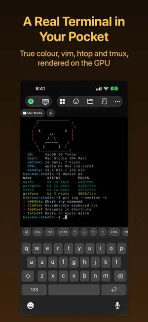 Rumskrot Terminal screenshot 2