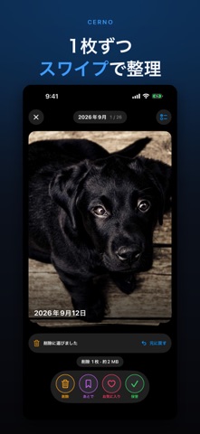 Cerno: スワイプで写真整理・容量確保 のスクリーンショット
