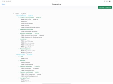Nano Balance Sheet App Store preview screenshot 17