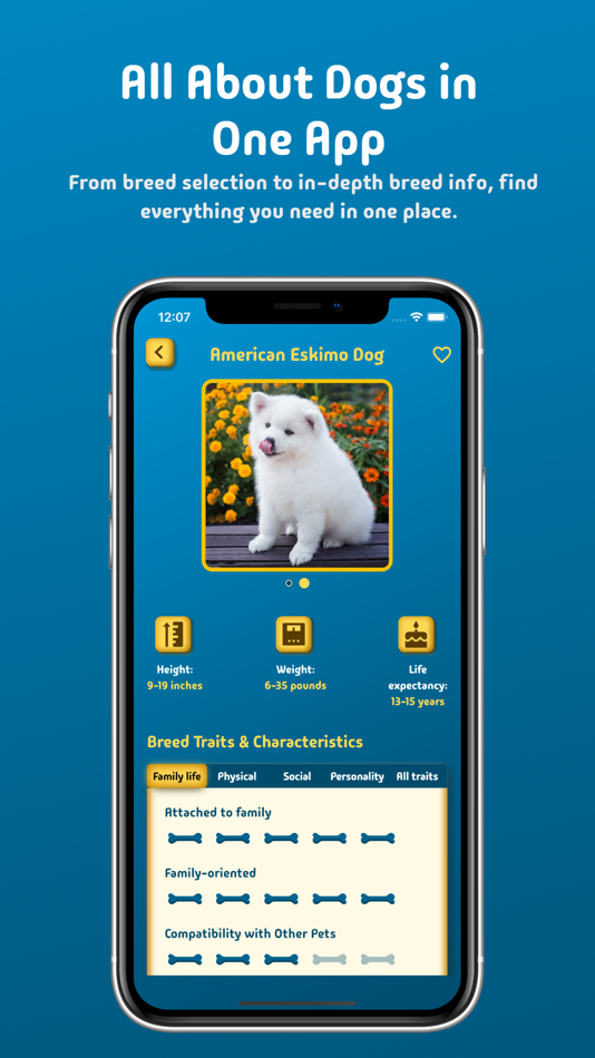 #3. Dog Decision Compass (iOS) Podle: Jan Henry Rosemeyer
