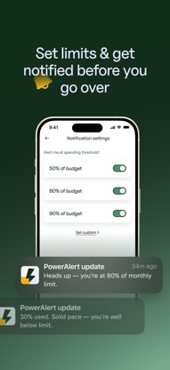 PowerAlert: Energy Tracker screenshot 2