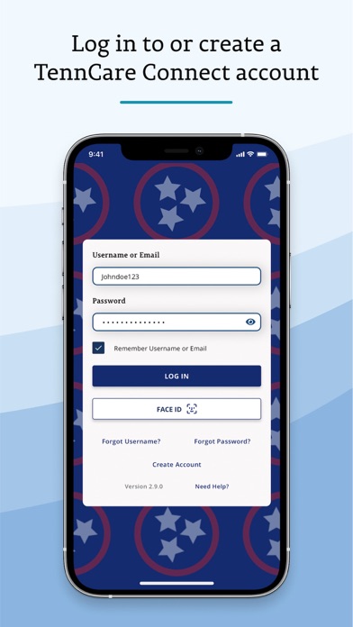 TennCare Screenshot