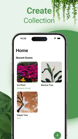 Plant identifier - Botanist screenshot 3