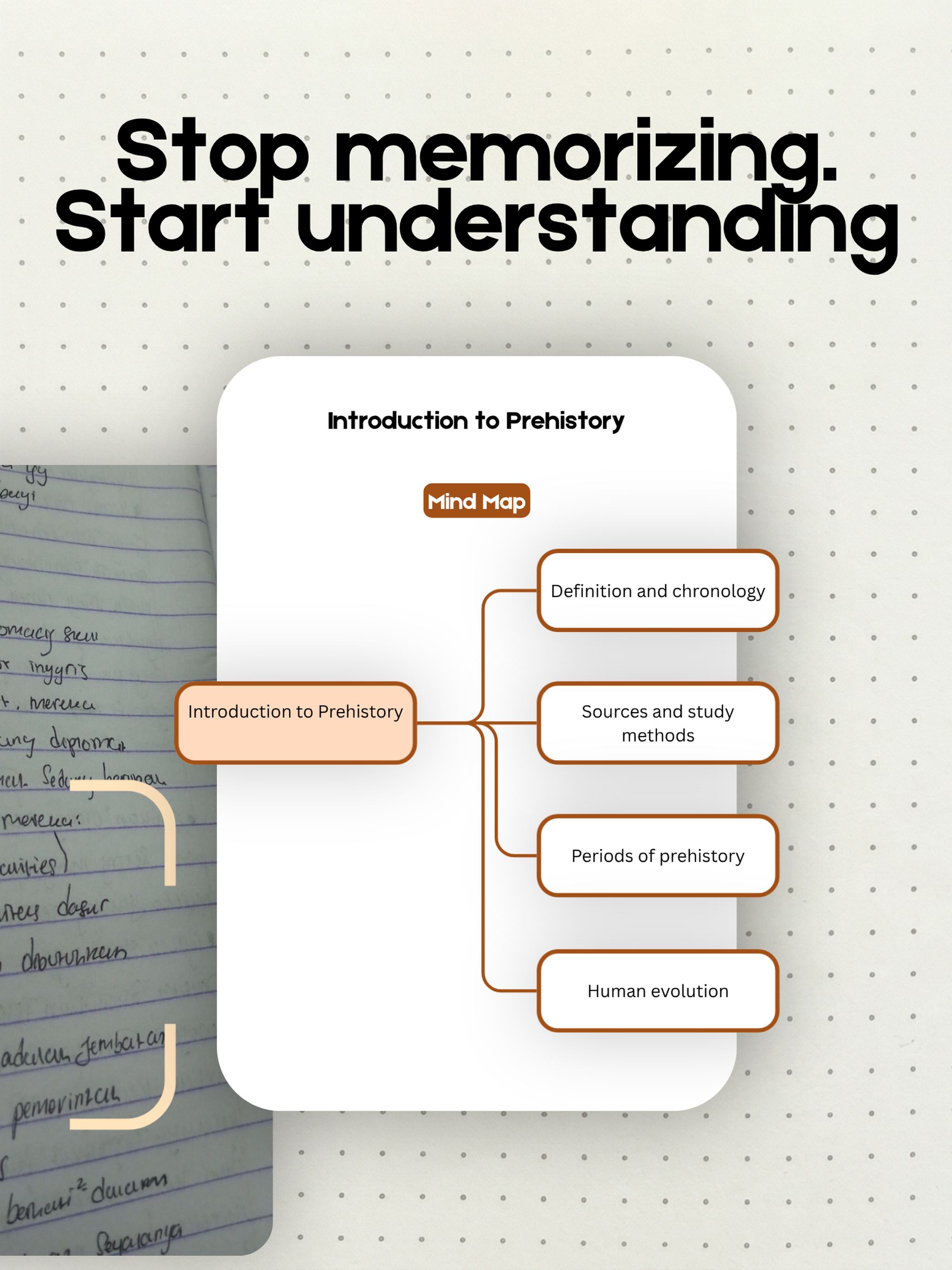 History Master: Study & Quiz