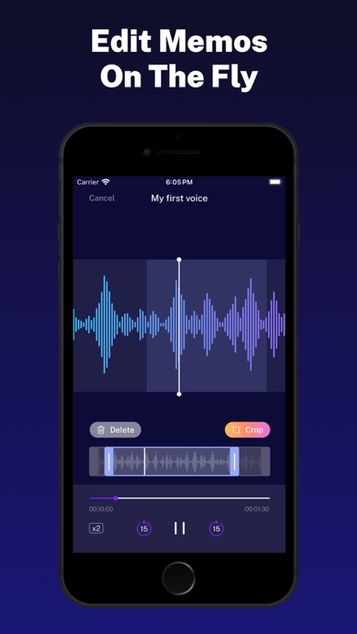 Voice Recorder - Easy Memos Screenshot