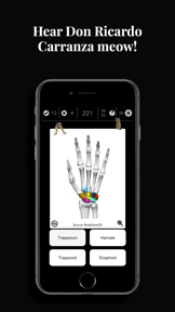 Anatomist – The Anatomy Game screenshot